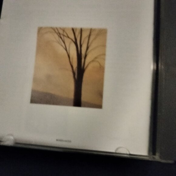 Edie Brickell Picture Perfect Morning CD Album - Picture 3 of 5